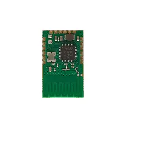 Leeyz LZM2-G22 Bluetooth Module