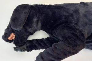 Mecanmed Tıbbi Bilim PVC Entübasyon Manevrası Köpek CPR Modeli Gelişmiş CPR Manevrası Manevrası için Manevra Manevrası - Product Image 4