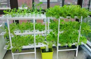 Kit de cultivo hidropónico Vertical de tubería de PVC para granja, sistema NFT con 72 agujeros, Kits de planta hidropónica para fresa o <span class=keywords><strong>lechuga</strong></span> - Product Image 3