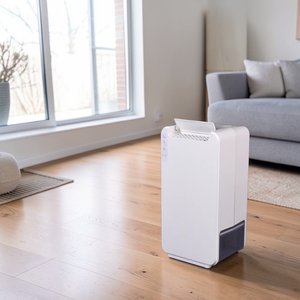 Déshumidificateur certifié CE DDS pour usage domestique, capacité 10L, fonction minuterie, haute performance, retour et remplacement - Product Image 1