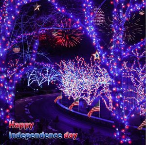 <span class=keywords><strong>Guirlande</strong></span> lumineuse à 100LED <span class=keywords><strong>pour</strong></span> l'extérieur, fil en PVC vert, lumière féerique <span class=keywords><strong>de</strong></span> noël, faible tension, 2/10M, 24V - Product Image 2