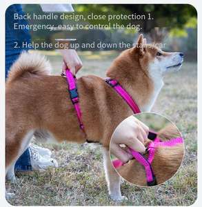 Sınır ötesi yeni dalış malzemesi i-şekilli Pet göğüs kemeri yelek orta büyük yakacak köpek Golden Retriever köpek Pet taşıyıcılar - Product Image 6