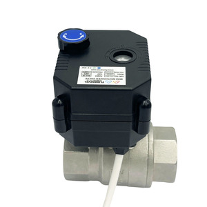 Flomarvel Fh-mo/fh-s 2.5nm IP67 Interruptor de bola OP01 de 2 cables, inversor de polos, acero inoxidable/latón/UPVC, 12V 24V 110-230V, bajo voltaje - Product Image 5