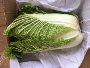 Nhà Máy Trung Quốc Cung Cấp Rau Tươi Tươi Vòng Bắp Cải Trung Quốc Giá Để Bán - Product Image 6