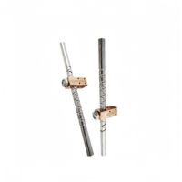 Tornillo de Avance Recíproco de Acero Inoxidable 304 con Tuerca de Latón/Acero para Equipos de Impresión, Niquelado, 200 Nm Torque Máximo, T10*10