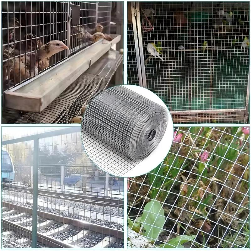 breeding cages for african birds