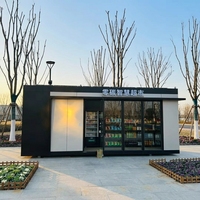 Maison préfabriquée de luxe en acier, type conteneur, modèle Apple Cabin, étanche, atelier contemporain, boutique mobile, prête à l'emploi