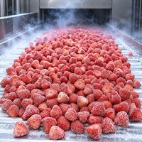Graad A Halal IQF Diepvries Aardbeien Groothandel |   100% natuurlijke, verse, diepvries aardbeien voor jam & smoothies