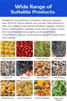 Mango-ananas-cassave-peper zonne-droogmachine, groente-fruit-zeevruchten droogmachine, visdroog- en rookmachine