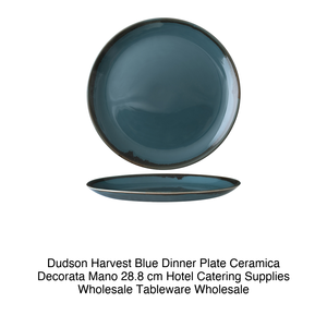 Plato de Cena Azul Dudson Harvest, Cerámica Decorada a Mano, 28.8 cm, Suministros para Hostelería, Vajilla al por Mayor - Product Image 2