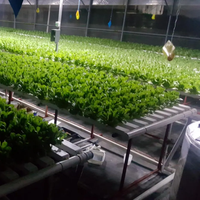 Système hydroponique à canal NFT en PVC de qualité alimentaire avec pente intégrée et support de charge lourde pour l'agriculture en serre