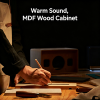 Enceinte de bureau EDIFIER Evo Soul Retro 2.1 Acoustics 60W RMS Double Hi-Res AirPlay 2 Boîtier en bois MDF DSP
