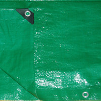 Bâche plastika cerada plava Siva 2x3m 80g 140g pour Tente de camping et l'agriculture bateaux couverture véhicule à Croatie
