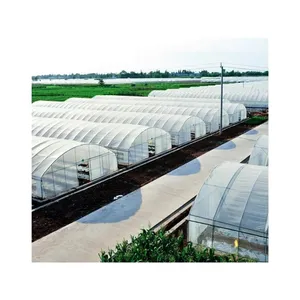 Factory Hot Sales Green House Frame Tunnel Greenhouse With Shade Net