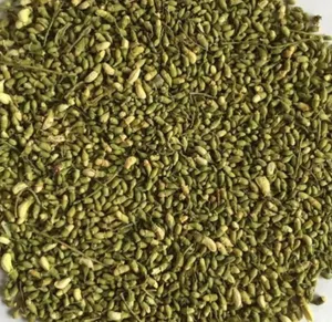 100% Natuurlijke Sophora Japonica Extract Dihydroquercetine Quercetine Poeder