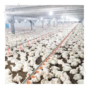 High Quality Design Poultry House Farm Broiler Equipment In India