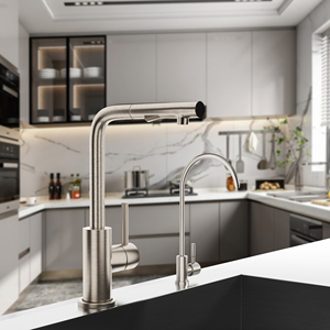 Одноручный выдвижной Распылитель кухонный кран с 2-мя настройками воды - Product Image 5