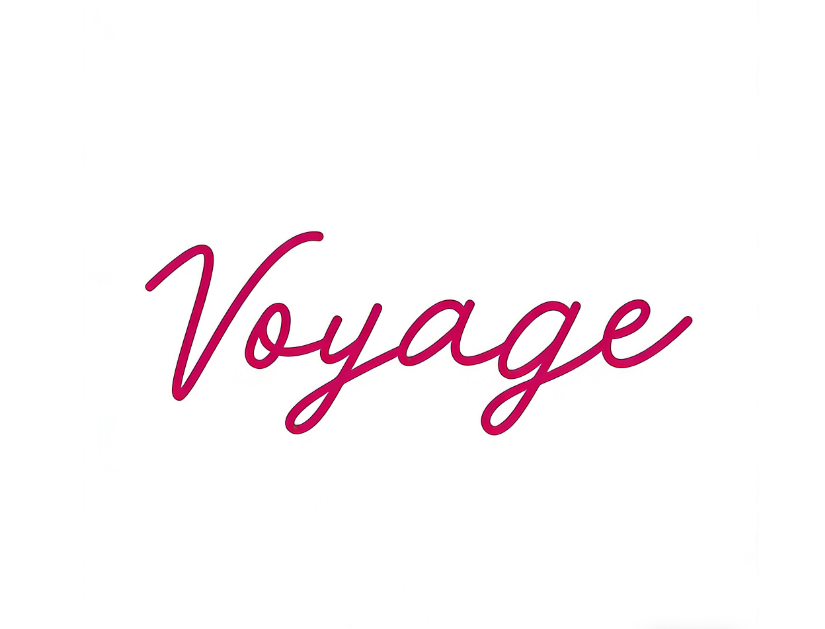 Xiamen Voyage Global Trade Co., Ltd. logo
