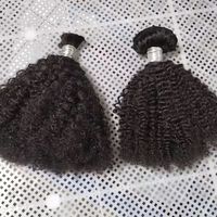 Lot de Cheveux Humains Bouclés Afro Crépus 4C en Gros – Fournisseurs de Bundles Afro Crépus 4C – Extensions de Cheveux Humains Afro Crépus 4C en Vrac, Cheveux Vierges Bruts