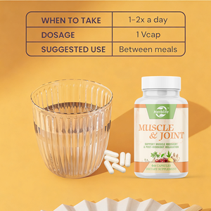 OEM ODM Vente chaude - Complément alimentaire pour la santé des muscles et des articulations - avec ginseng, curcuma et herbes pures |   Soutien à la relaxation après l'entraînement - Product Image 4