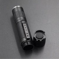 Lampe torche LED UVC 254nm haute puissance 12W, IP68, rechargeable par USB, portable, industrielle, pour inspection et désinfection
