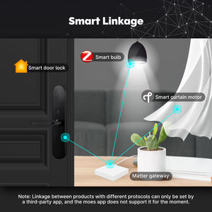 Matter Smart Gateway Zigbee Hub para Matter Light Switch Bombilla Sensor <span class=keywords><strong>Homekit</strong></span> Alexa Google Zigbee y dispositivos Thread - Product Image 6