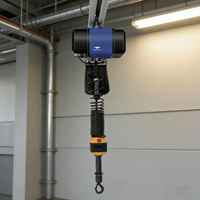 Polipasto Eléctrico Inteligente de Cadena, 220V 50Hz, Trifásico, Modelo W12 D-8, para Escenarios de Iluminación
