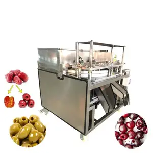 Grande capacité cerise olive date jujube dénoyautage machine fruits dénoyautage machine