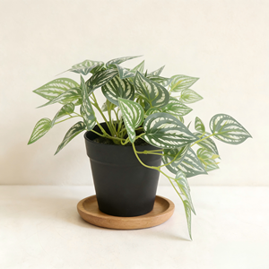 Mini plante artificielle <span class=keywords><strong>Bonsaï</strong></span> Petite plante <span class=keywords><strong>en</strong></span> <span class=keywords><strong>pot</strong></span> Plante à feuilles vertes blanches dans <span class=keywords><strong>un</strong></span> <span class=keywords><strong>pot</strong></span> <span class=keywords><strong>en</strong></span> plastique avec faux sol pour la décoration du rebord de fenêtre à la maison - Product Image 5