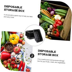 Moule personnalisé biodégradable pour fruits frais Plateau en plastique pour aliments congelés Plateau jetable pour amidon de maïs Taille libre Plateau noir pour viande - Product Image 3