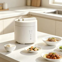 Vente flash : Mini-cuiseurs à pression de 2,5 L, cuiseurs à pression électriques pour la maison, cuiseurs à riz multifonctionnels à haute pression