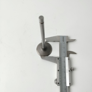 Valvola di Aspirazione SSANGYONG, <span class=keywords><strong>Valvole</strong></span> di Aspirazione e Scarico Motore 1720530101 per ACTYON KYRON REXTON KORANDO C MUSSO RODIUS TIVOLI - Product Image 3