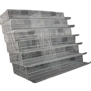 cages of quails for sale layer quail cages quail cage water pipe