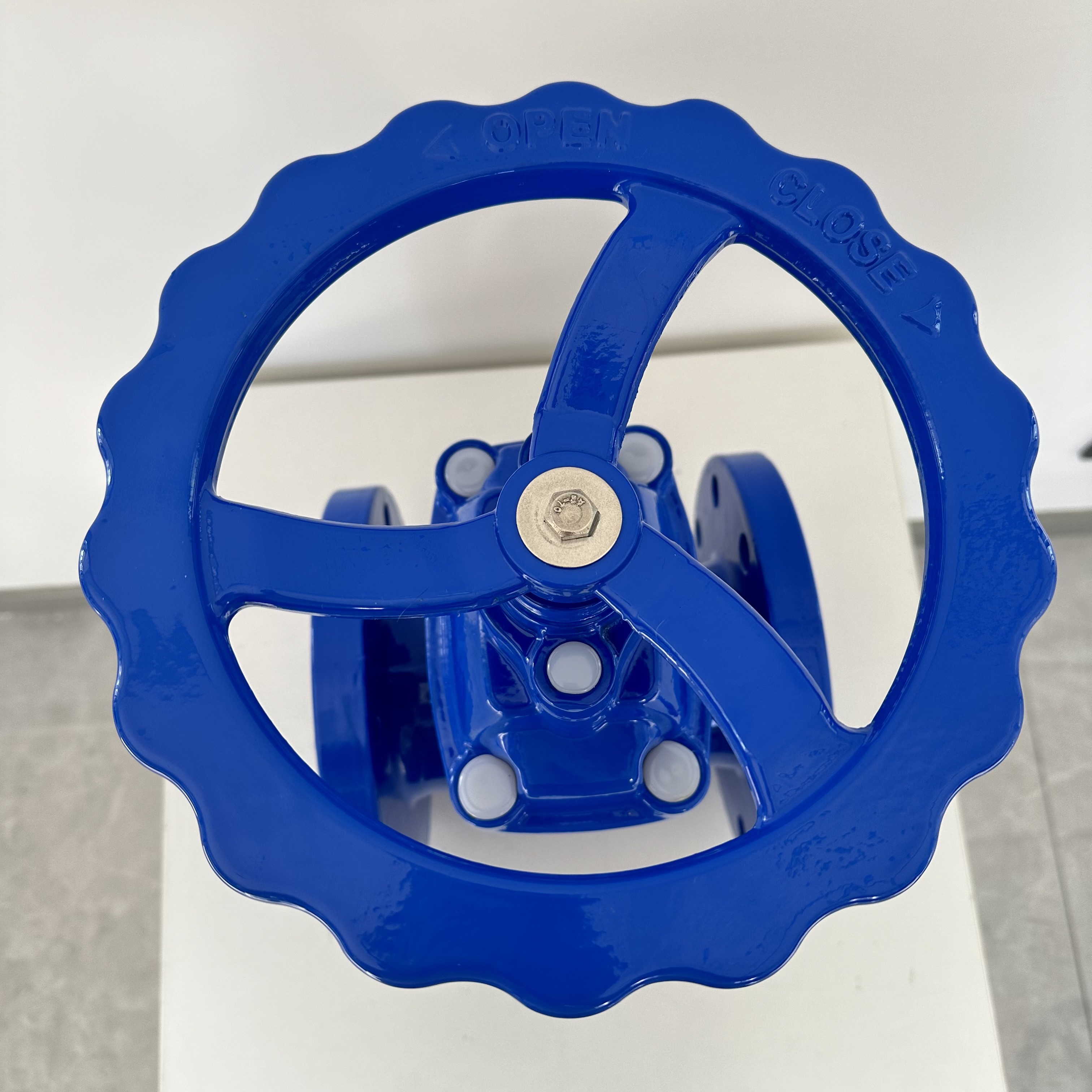 Gate Valve 100mm Dia