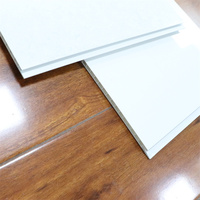 Paneles de Techo Duraderos, Resistentes a los Rayos UV, de PVC WPC, Impermeables, Ignífugos, Fáciles de Limpiar, No Tóxicos, Tamaños Personalizables, para Cocina, Baño, Hotel