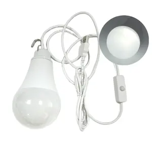 Switchable Hanging Energy Saving Led Bulb 2700K / 6500K 5W G70 USB Cable Lamps For Outdoor Stage Lighting