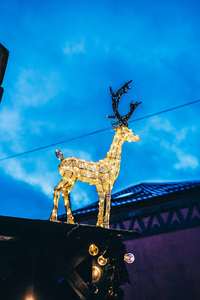 Lámpara LED personalizada con forma de reno IP65 para decoración navideña y festiva en exteriores e interiores - Product Image 1