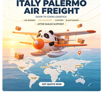 Logistique Aérienne Internationale vers Palerme, Italie, Service Porte-à-Porte, Dernier Kilomètre, Transit Stable, Prix Compétitif Garanti