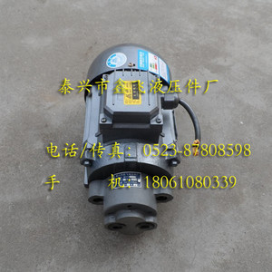 Unité combinée pompe à huile et moteur à insertion directe CB-B2.5JZ, CB-B4JZ, CB-B6JZ, CB-B10JZ pour pompes hydrauliques - Product Image 2