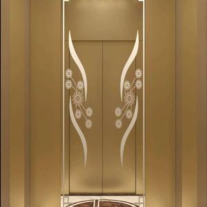 Vente directe d'usine de petits ascenseurs hydrauliques, ascenseurs pour passagers pour grands centres commerciaux et ascenseurs de haute qualité - Product Image 6