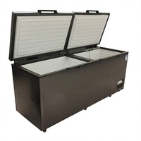 Congélateur horizontal commercial à double porte pour supermarché