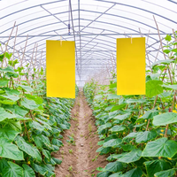 Trampa para insectos de plástico sólido con luz UV de doble cara, invernadero, tablero de plantación para exteriores, huerto, polillas moscas, Control de insectos