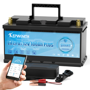 EU/US Kepworth <b>Battery</b> 12.8v 100ah 135Ah 180AH 200AH 300AH Iron Phosphate Lithium <b>Battery</b> 12.8V 100Ah <b>Battery</b> - Product Image 3