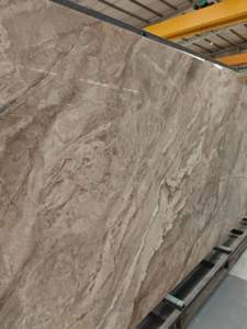 Palmeira Andina 163212L371 - Product Image 2