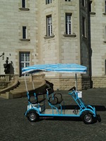 Quadricycle électrique familial pour le tourisme et la détente, double 500W 48V, 2 places, vélo électrique tandem