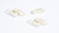 Poudre de probiotiques à libération contrôlée dans la capsule intérieure pour marque privée Forme halal pour capsule de remplissage liquide en capsule en capsule en capsule