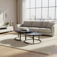Styles populaires, table basse en métal deux pièces, design rond moderne, table de réception de bureau, meubles de maison