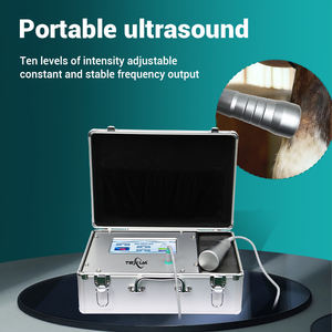 Ultrasonido Fisioterapia Physique Ultrawave Machine de Thérapie Professionnelle Soulagement de la Douleur pour le Traitement Canin Équin AC 110-220V - Product Image 2
