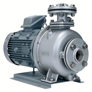 Pompe centrifuge en acier inoxydable Kawamoto Kr 304, débit moyen, sortie haute pression - Product Image 1