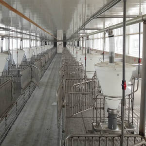 ระบบให้อาหารอัตโนมัติแบบตั้งเวลา YONGGAO สำหรับฟาร์มสุกร ระบบให้อาหารสุกรอัตโนมัติ - Product Image 4